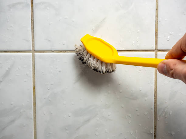 Best Mold Testing  in Statesville, NC