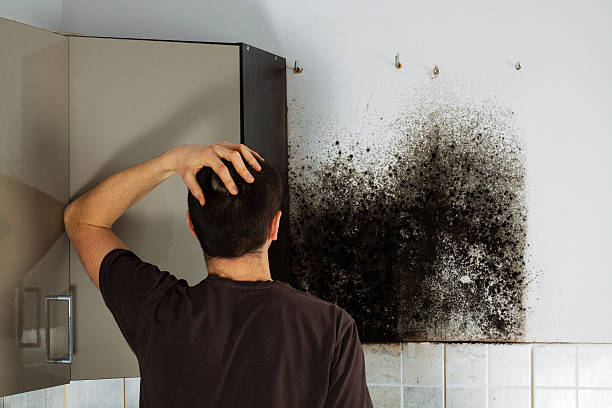 Best Professional Mold Removal  in Statesville, NC